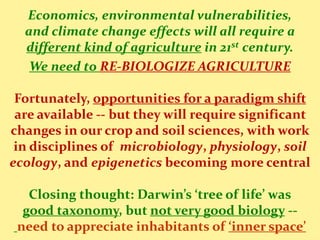 1306- Insights into Plant-Microbial Symbiosis and Implications for Sustainable Agriculture