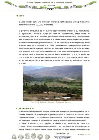 Página | 215
Plan de Desarrollo Urbano de la Ciudad de Huánuco
2019 - 2029
B. Valle:
El valle espacio tiene una extensión total de 6,400 hectáreas y una población de
aproximadamente 202,000 habitantes.
El potencial productivo de los suelos, especialmente referido a su aptitud para
la agricultura. Desde el punto de vista de accesibilidad, estos valles se
encuentran junto a la Carretera y su accesibilidad es adecuada, facilitando de
esa manera los flujos económicos que tienen como origen/destino al espacio
económico urbano propiamente dicho y a los mercados extra-regionales. En el
área del Valle, se ubican algunos fundos donde existen bodegan orientadas a la
producción de aguardiente (shacta). La actividad productiva del Valle muestra
una estrecha articulación con la economía local, en el sentido que esta actividad
se provee de los insumos necesarios de la economía urbana; además de
productos y servicios locales y principalmente mano de obra local; de otro lado,
en su comercialización también se apertura un espacio alternativo para el
empleo.
Foto 1.7-9: Valle de Huánuco – Trabajo de Campo
C.RÍO HUALLAGA:
El río Huallaga representa el más importante cuerpo de agua superficial de la
ciudad; además de poseer gran importancia para la dinámica económica de la
ciudad de Huánuco. El río ha significado la fuente constante de subsistencia para
las familias y también el factor básico para la actividad agropecuaria (riego).
El Valle de Huánuco como espacio económico se desarrolla asociado a la
cuenca del río Huallaga que tiene un gran potencial de recursos hídricos, por la
existencia de ríos, quebradas y manantiales, dando lugar a sub cuencas y micro
 