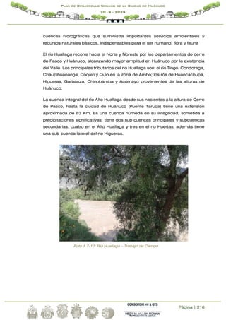 Página | 216
Plan de Desarrollo Urbano de la Ciudad de Huánuco
2019 - 2029
cuencas hidrográficas que suministra importantes servicios ambientales y
recursos naturales básicos, indispensables para el ser humano, flora y fauna
El río Huallaga recorre hacia el Norte y Noreste por los departamentos de cerro
de Pasco y Huánuco, alcanzando mayor amplitud en Huánuco por la existencia
del Valle. Los principales tributarios del rio Huallaga son: el río Tingo, Condoraga,
Chaupihuananga, Coquín y Quio en la zona de Ambo; los rós de Huancachupa,
Higueras, Garbanza, Chinobamba y Acomayo provenientes de las alturas de
Huánuco.
La cuenca integral del río Alto Huallaga desde sus nacientes a la altura de Cerro
de Pasco, hasta la ciudad de Huánuco (Puente Taruca) tiene una extensión
aproximada de 83 Km. Es una cuenca húmeda en su integridad, sometida a
precipitaciones significativas; tiene dos sub cuencas principales y subcuencas
secundarias: cuatro en el Alto Huallaga y tres en el río Huertas; además tiene
una sub cuenca lateral del río Higueras.
Foto 1.7-10: Rio Huallaga – Trabajo de Campo
 