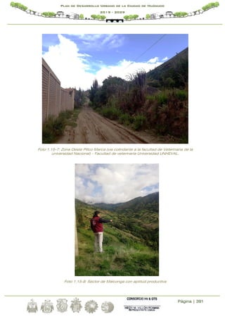 Página | 391
Plan de Desarrollo Urbano de la Ciudad de Huánuco
2019 - 2029
Foto 1.15-7: Zona Oeste Pillco Marca (via colindante a la facultad de Veterinaria de la
universidad Nacional) - Facultad de veterinaria Universidad UNHEVAL.
Foto 1.15-8: Sector de Malconga con aptitud productiva
 