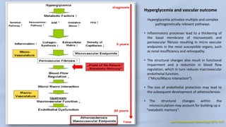 Micro and Macrovascular Disorder the Role of Lumbrokinase | PDF