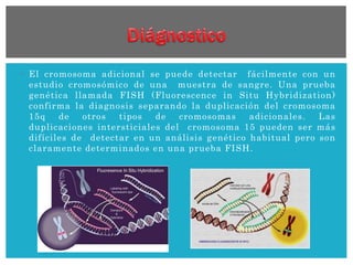  El cromosoma adicional se puede detectar fácilmente con un
estudio cromosómico de una muestra de sangre. Una prueba
genética llamada FISH (Fluorescence in Situ Hybridization)
confirma la diagnosis separando la duplicación del cromosoma
15q de otros tipos de cromosomas adicionales. Las
duplicaciones intersticiales del cromosoma 15 pueden ser más
difíciles de detectar en un análisis genético habitual pero son
claramente determinados en una prueba FISH.
 