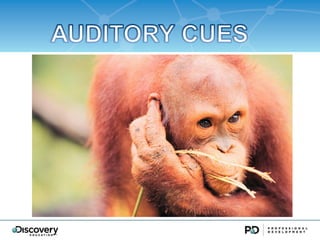 I didnt know youcould do that with Discovery Education!