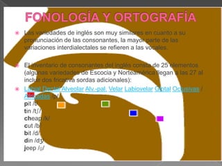    Las variedades de inglés son muy similares en cuanto a su
    pronunciación de las consonantes, la mayor parte de las
    variaciones interdialectales se refieren a las vocales.

   El inventario de consonantes del inglés consta de 25 elementos
    (algunas variedades de Escocia y Norteamérica llegan a las 27 al
    incluir dos fricativa sordas adicionales):
   Labial Dental Alveolar Alv.-pal. Velar Labiovelar Glotal Oclusivas /
    Africadas /p/
    pit /t/
    tin /tʃ/
    cheap /k/
    cut /b/
    bit /d/
    din /dʒ/
    jeep /ɡ/
 