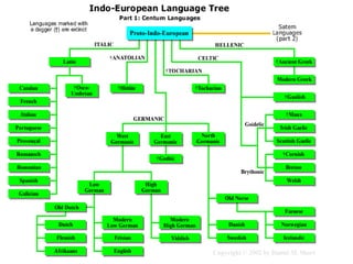 Indoeuropean language tree 