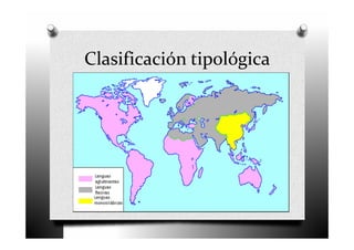 Clasificación tipológica
 