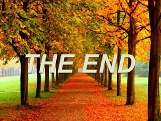 Idiomatics expressions