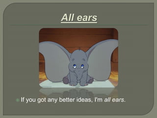 If you got any better ideas, I'm all ears.
 
