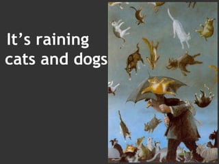 It’s raining cats and dogs 