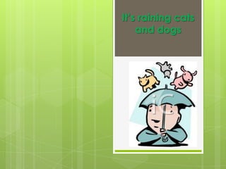 It’srainingcats and dogs