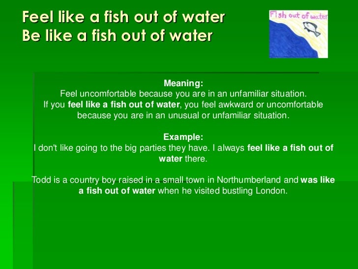 sentence example food idiom Idioms sentence example food idiom Idioms
