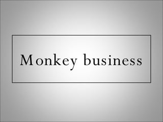 Monkey business 
