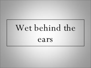 Wet behind the ears 