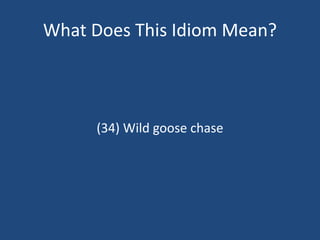 Wild Goose Chase Meaning, Examples, Synonyms
