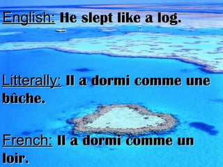 English:English: He slept like a log.He slept like a log.
Litterally:Litterally: Il a dormi comme uneIl a dormi comme une
bûche.bûche.
French:French: Il a dormi comme unIl a dormi comme un
loir.loir.
 