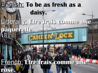 English:English: To be as fresh as aTo be as fresh as a
daisy.daisy.
Litterally:Litterally: Etre frais comme uneEtre frais comme une
pâquerette.pâquerette.
French:French: Etre frais comme uneEtre frais comme une
rose.rose.
 