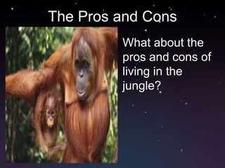 The Pros and Cons
         What about the
         pros and cons of
         living in the
         jungle?
 