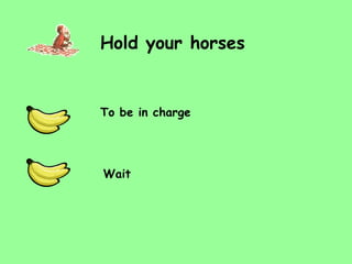 Hold your horses Wait To be in charge 