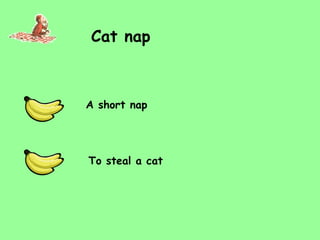Cat nap A short nap To steal a cat 