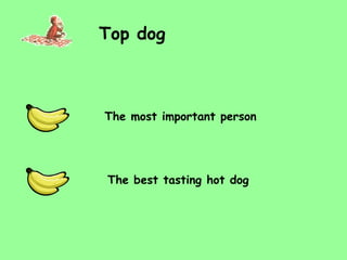 Top dog The most important person The best tasting hot dog 
