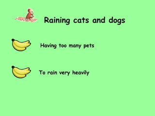 Raining cats and dogs To rain very heavily Having too many pets 
