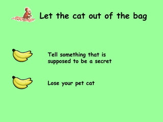 Let the cat out of the bag Tell something that is supposed to be a secret Lose your pet cat 