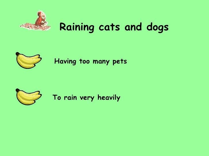Hot Dog Idiom Definition Hot Dog Idiom Definition