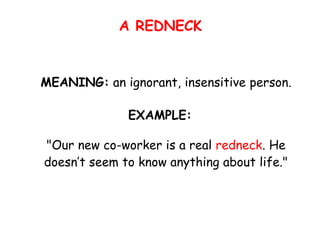 A REDNECK
MEANING: an ignorant, insensitive person.
EXAMPLE:
"Our new co-worker is a real redneck. He
doesn’t seem to know anything about life."
 