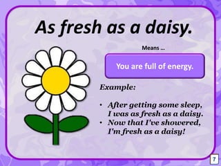 As fresh as a daisy.
You are full of energy.
Means …
7
Example:
• After getting some sleep,
I was as fresh as a daisy.
• Now that I've showered,
I'm fresh as a daisy!
7
 