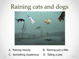 Raining cats and dogs




A. Raining heavily        B. Raining just a little
C. Something mysterious   D. Telling a joke
 