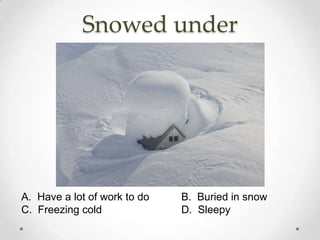 Snowed under




A. Have a lot of work to do   B. Buried in snow
C. Freezing cold              D. Sleepy
 