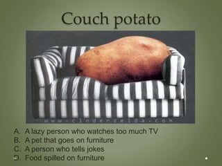 Couch potato




A.   A lazy person who watches too much TV
B.   A pet that goes on furniture
C.   A person who tells jokes
D.   Food spilled on furniture
 