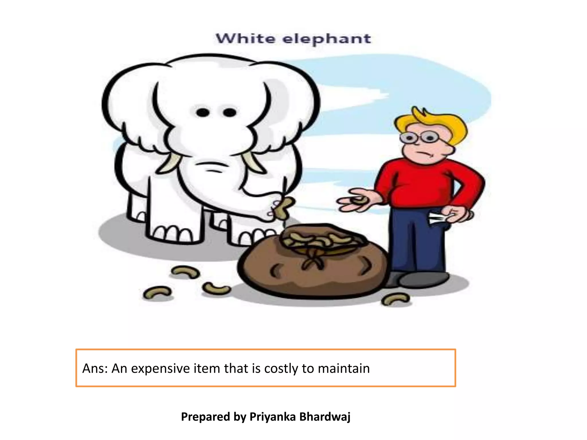 Prepared by Priyanka Bhardwaj
Ans: An expensive item that is costly to maintain
 