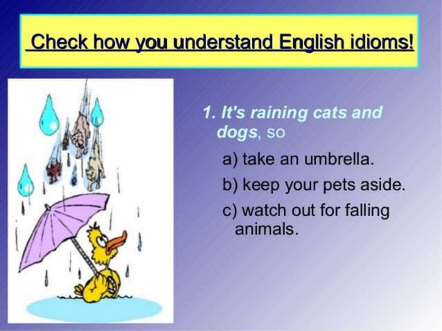 Idioms Presentation PPT Free Download idioms-presentation-ppt-free-download