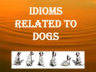 Idioms
related to
   dogs
 