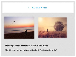 • GO FLY A KITE
Meaning: to tell someone to leave you alone.
Significado: es una manera de decir ¨quiero estar solo¨
 