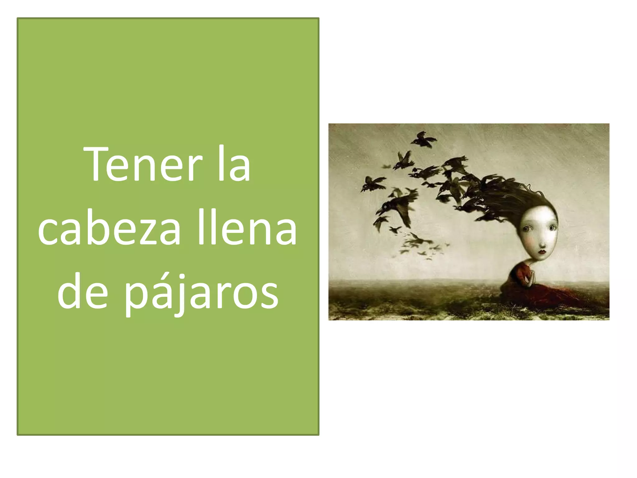 Tener la
cabeza llena
de pájaros