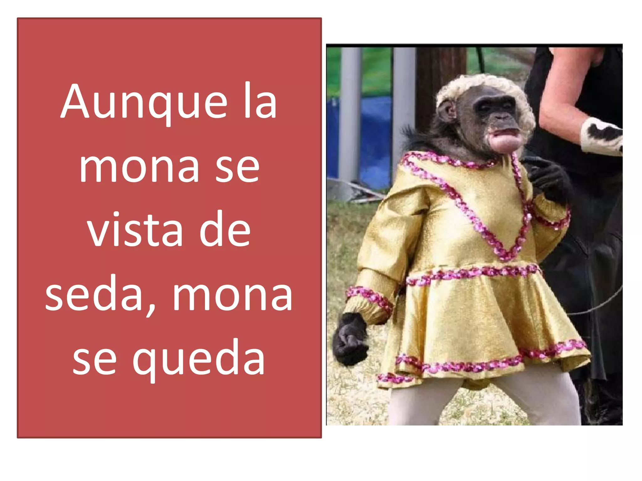Aunque la
mona se
vista de
seda, mona
se queda