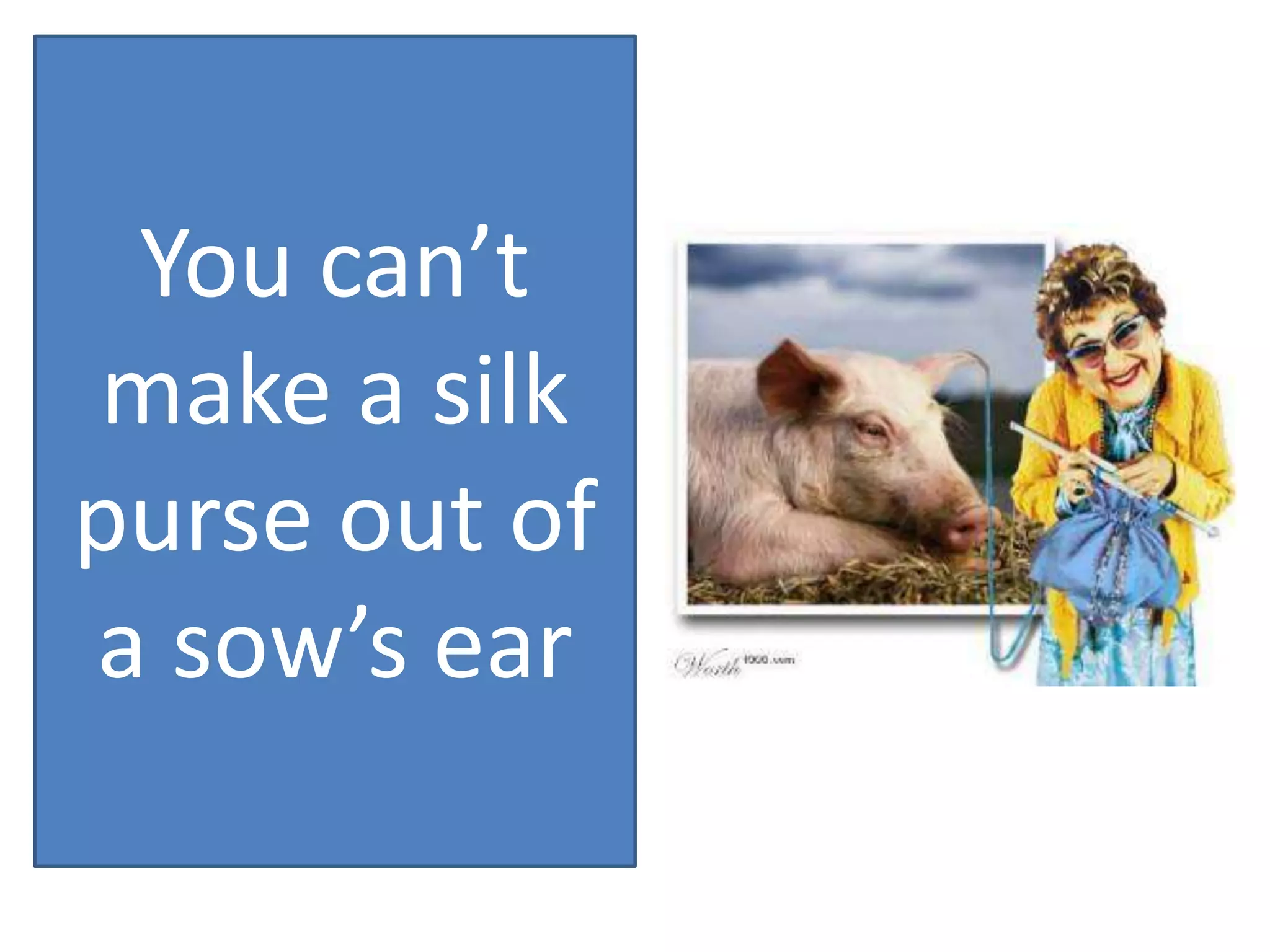You can’t
make a silk
purse out of
a sow’s ear