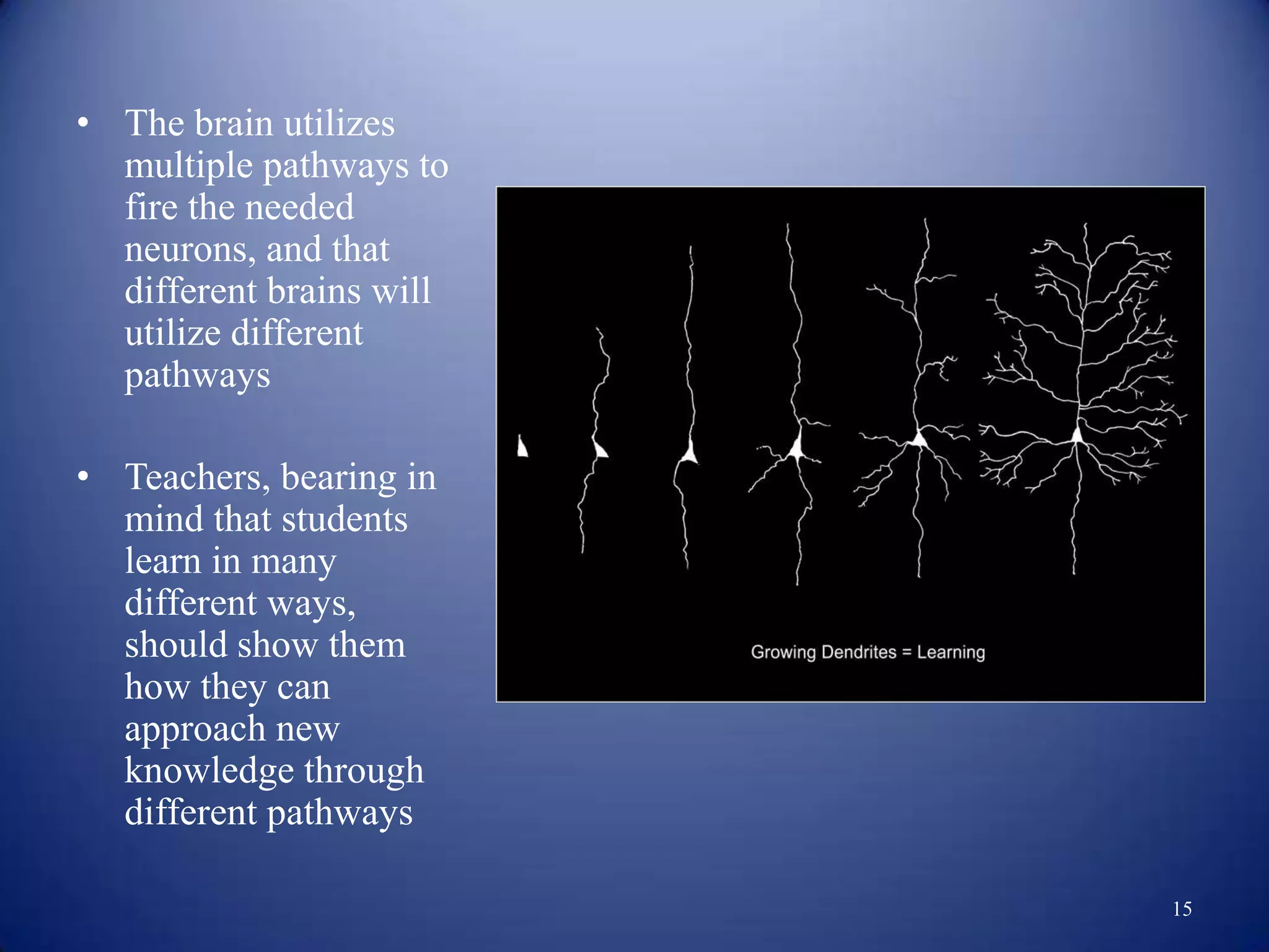 • The brain utilizes
  multiple pathways to
  fire the needed
  neurons, and that
  different brains will
  utilize different
  pathways

• Teachers, bearing in
  mind that students
  learn in many
  different ways,
  should show them
  how they can
  approach new
  knowledge through
  different pathways

                          15
 