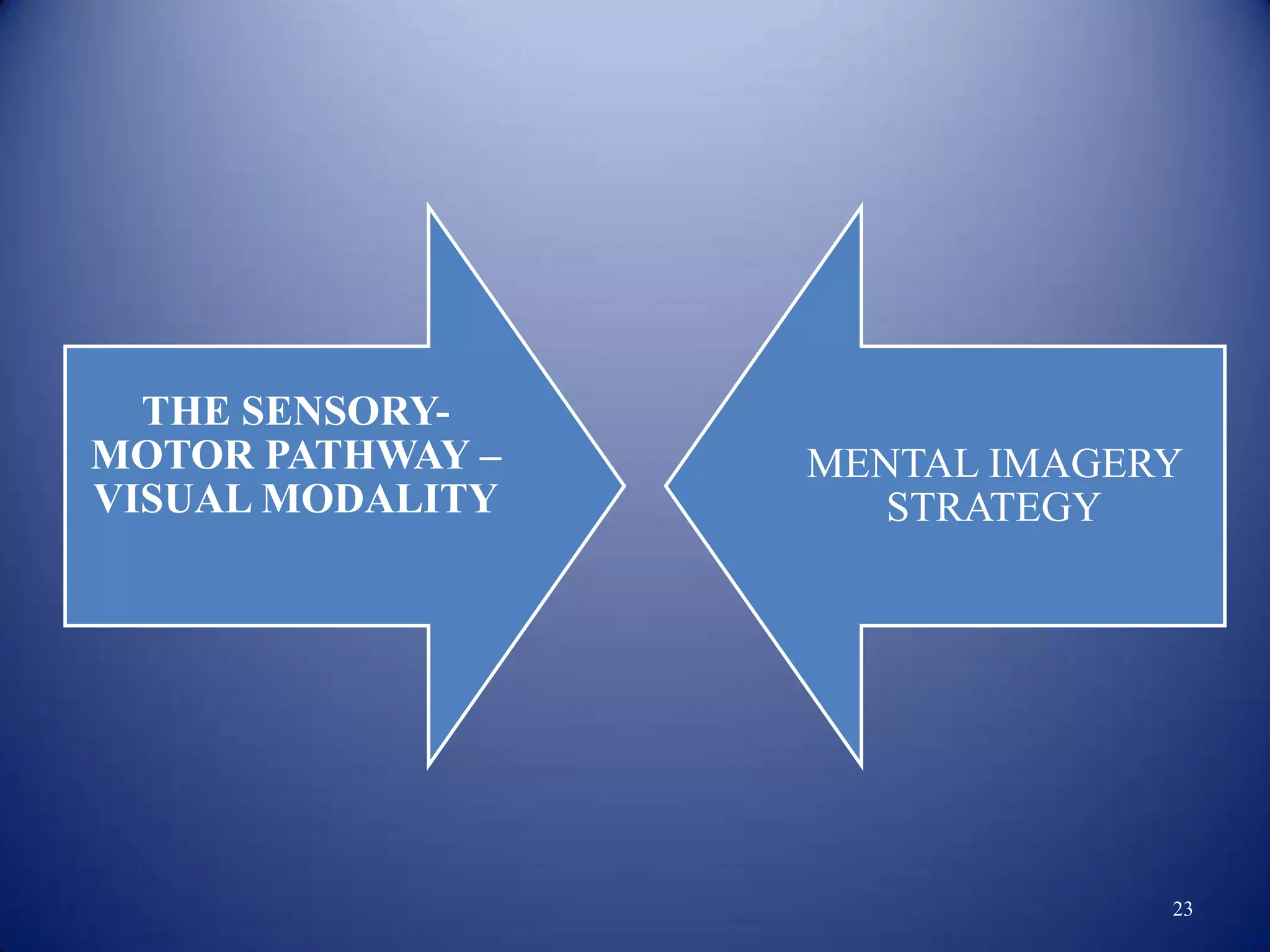 THE SENSORY-
MOTOR PATHWAY –   MENTAL IMAGERY
VISUAL MODALITY      STRATEGY




                               23
 