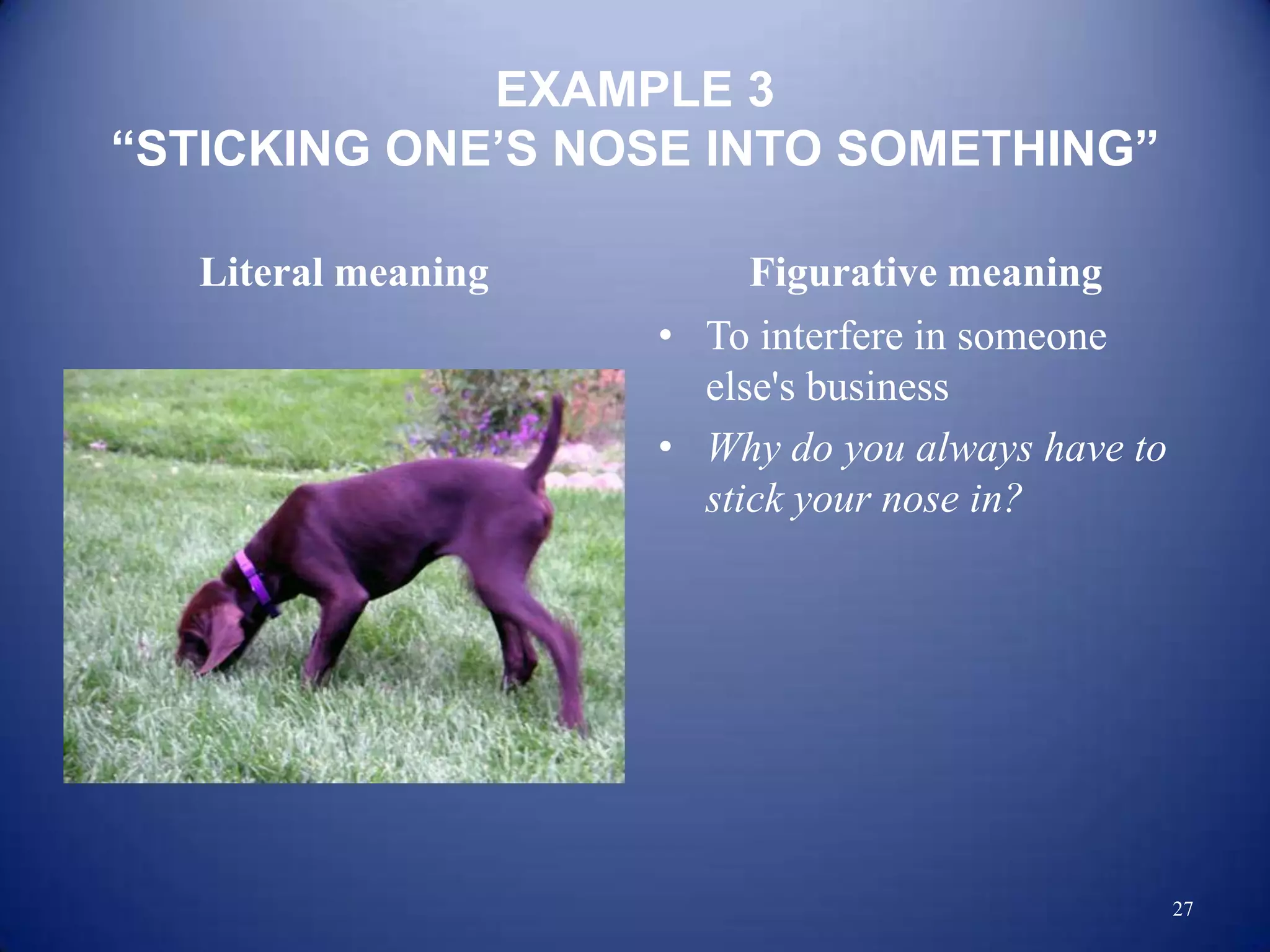 EXAMPLE 3
“STICKING ONE’S NOSE INTO SOMETHING”

   Literal meaning        Figurative meaning
                     • To interfere in someone
                       else's business
                     • Why do you always have to
                       stick your nose in?




                                                   27
 