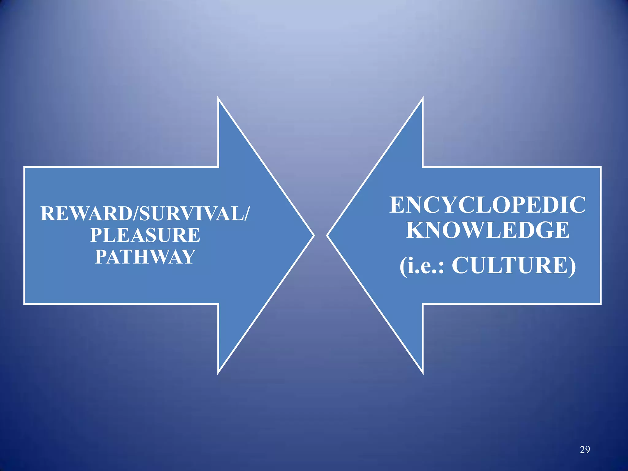 REWARD/SURVIVAL/   ENCYCLOPEDIC
   PLEASURE          KNOWLEDGE
   PATHWAY          (i.e.: CULTURE)




                                  29
 