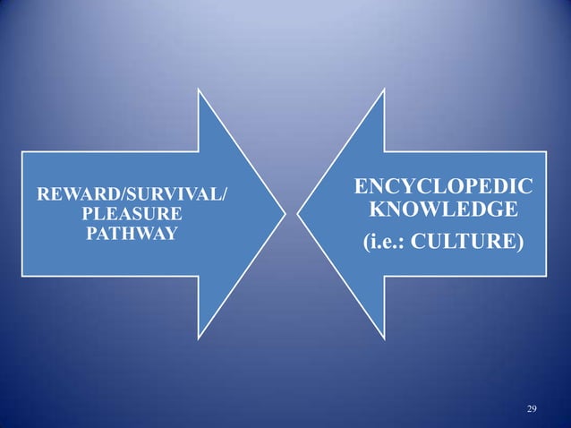 Idioms teaching through the multiple pathways model | PPT