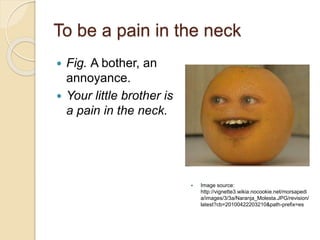 To be a pain in the neck
 Fig. A bother, an
annoyance.
 Your little brother is
a pain in the neck.
 Image source:
http://vignette3.wikia.nocookie.net/morsapedi
a/images/3/3a/Naranja_Molesta.JPG/revision/
latest?cb=20100422203210&path-prefix=es
 