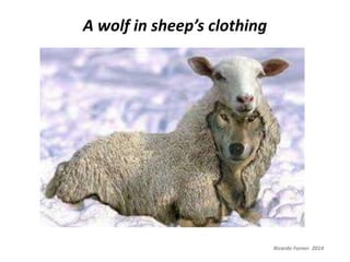 A wolf in sheep’s clothing
Ricardo Forner 2014
 