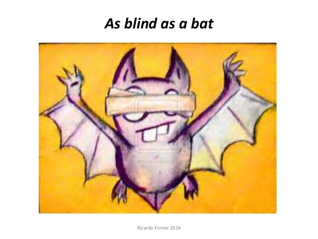 Idioms with animals II