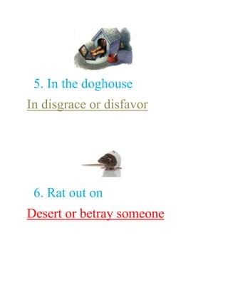 Idioms with pictures 10