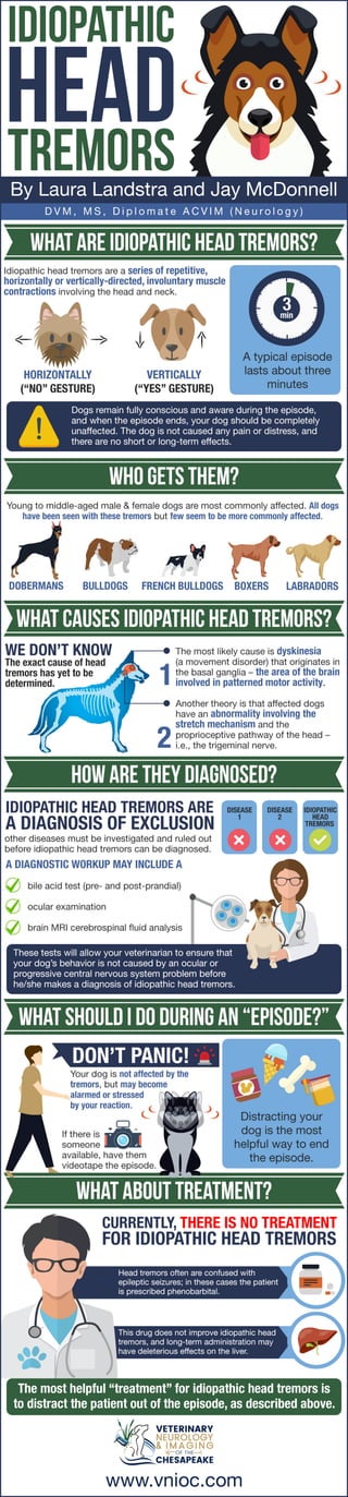 Image showcasing Idiopathic head tremors in dogs infographic | PDF
