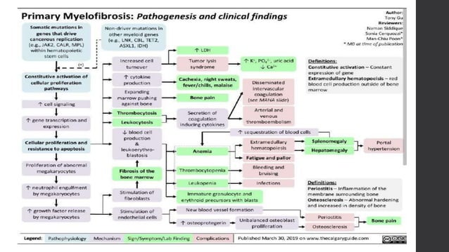 IDIOPATHIC MYELOFIBROSIS Treatment and Management.pptx - Treatment Options For Feline Myelofibrosis